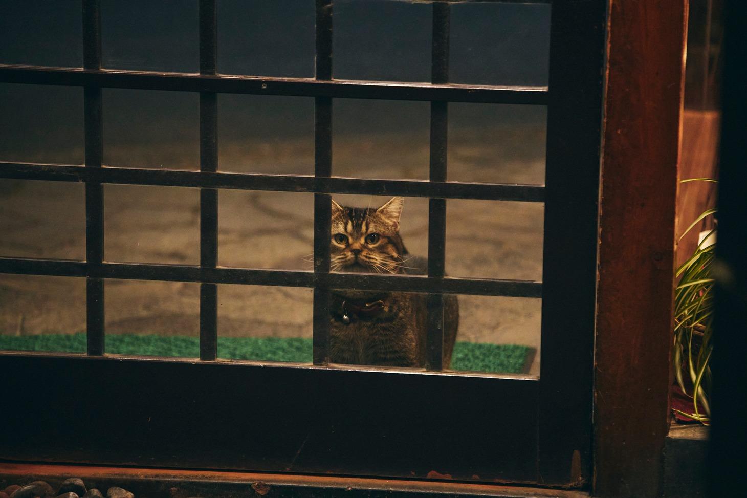 「季節のない街」新場面写真