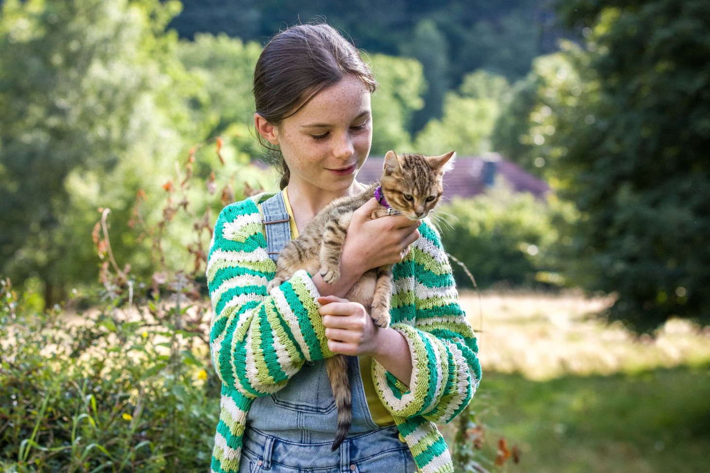 「ルー、パリで生まれた猫」場面写真