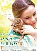 「ルー、パリで生まれた猫」日本版ポスタービジュアル