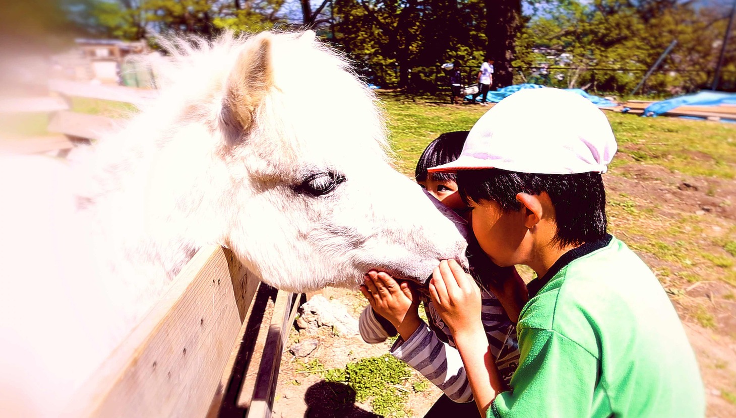 「夢みる校長先生 子どもファーストな公立学校の作り方」場面写真
