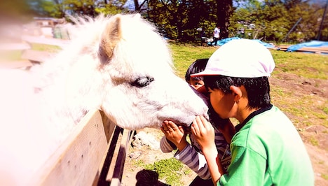 「夢みる校長先生 子どもファーストな公立学校の作り方」場面写真