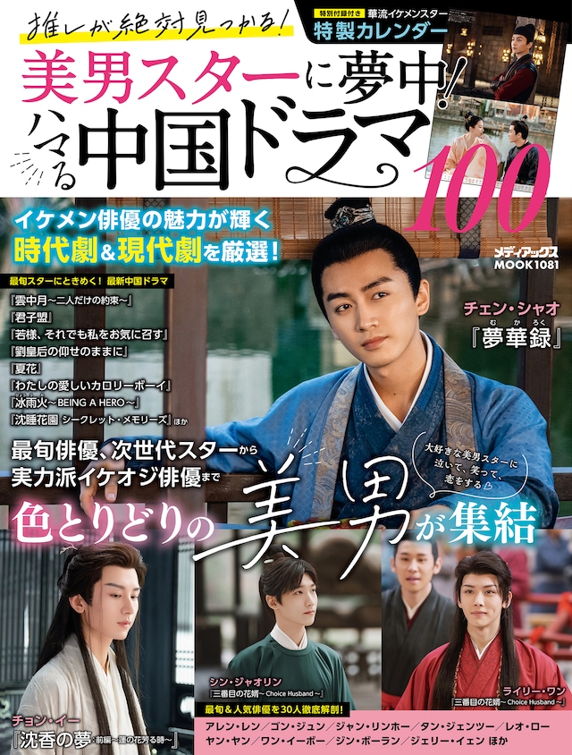 「推しが絶対見つかる！美男スターに夢中！ハマる中国ドラマ100」表紙