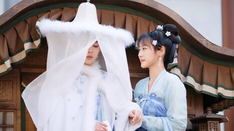 中国ドラマ「花令嬢の華麗なる計画」場面写真