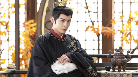 中国ドラマ「花令嬢の華麗なる計画」より、シュー・ジェンシー演じる姫元溯。