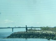 「ぼくならいつもここだよ」場面写真