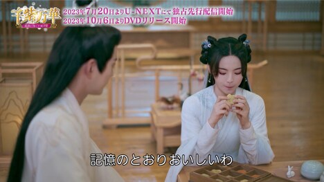 中国ドラマ「千紫万華(せんしばんか)~重紫(ちょうし)に捧ぐ不滅の愛~」より。