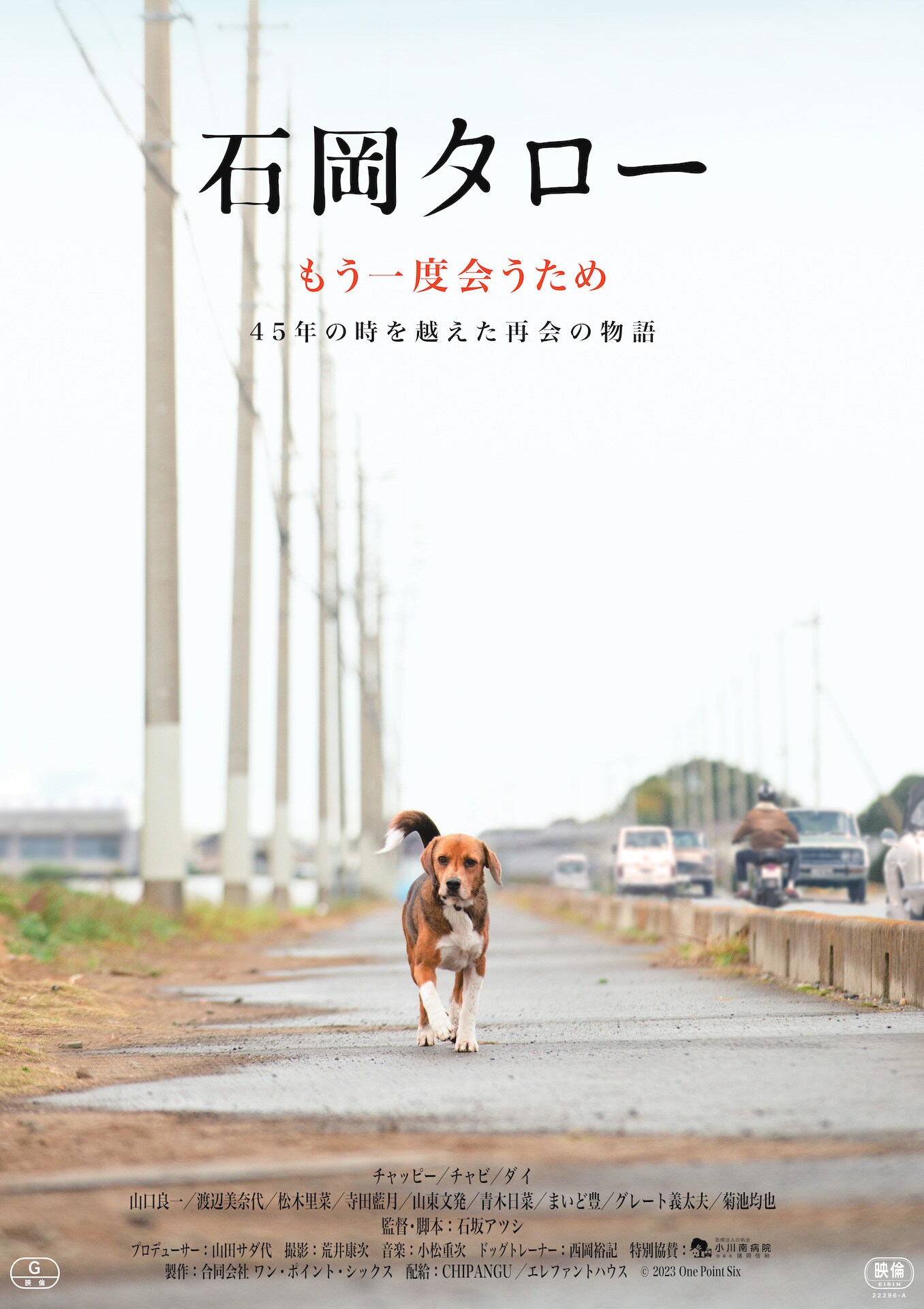 飼い主と再び会うため17年間も駅に通った犬の物語「石岡タロー」今秋
