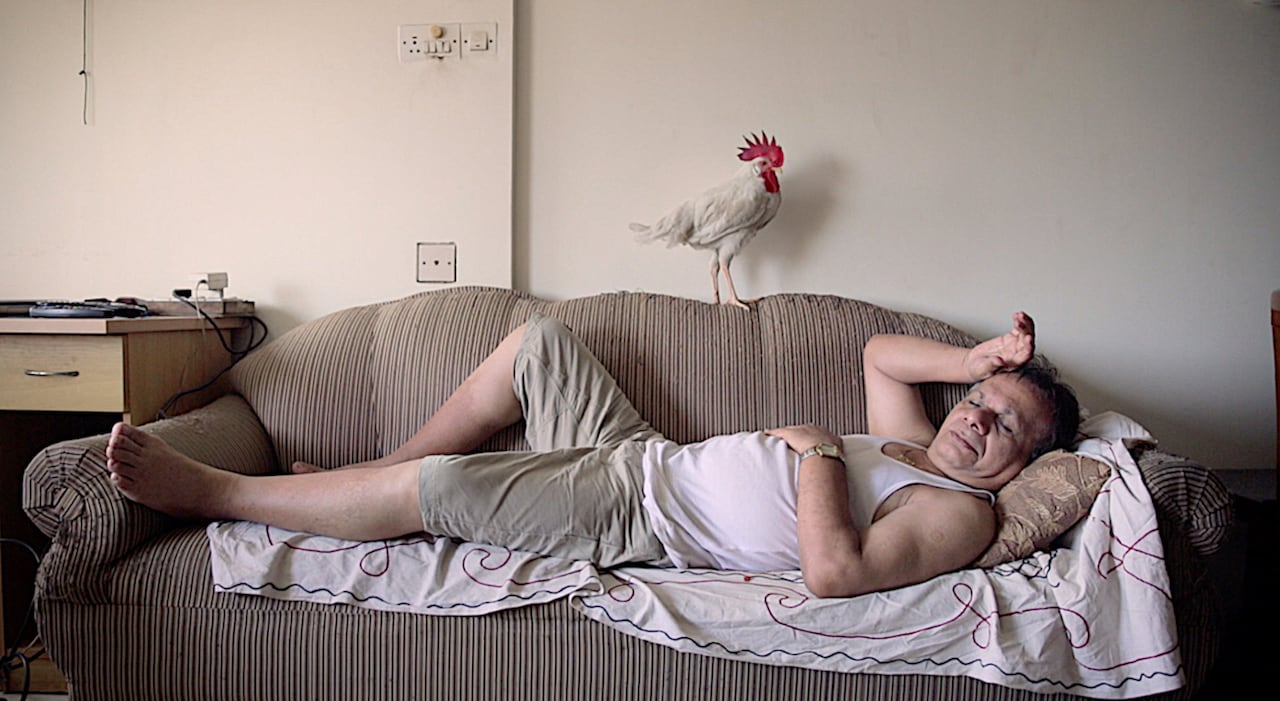 「コッコちゃんとパパ」場面写真（アジアンドキュメンタリーズで配信中）