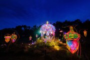 童話村の森ライトアップの様子。