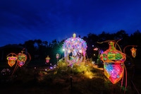 童話村の森ライトアップの様子。