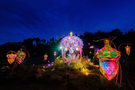 童話村の森ライトアップの様子。