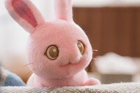 「ぼさにまる」場面写真