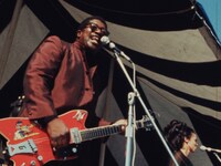 「リバイバル69 ～伝説のロックフェス～」より、ボ・ディドリー。