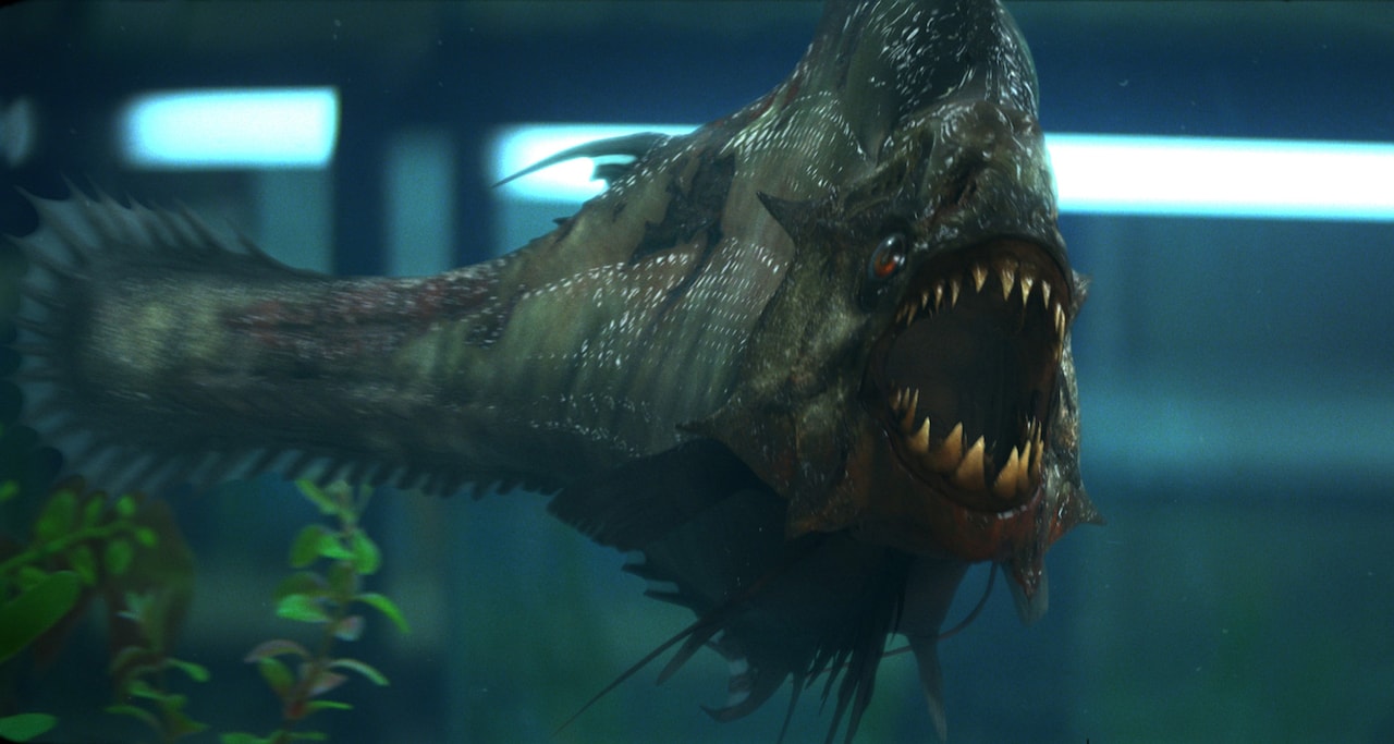 「ピラニア3D」場面写真 (c)2010 THE WEINSTEIN COMPANY,LLC.ALL RIGHTS RESERVED.
