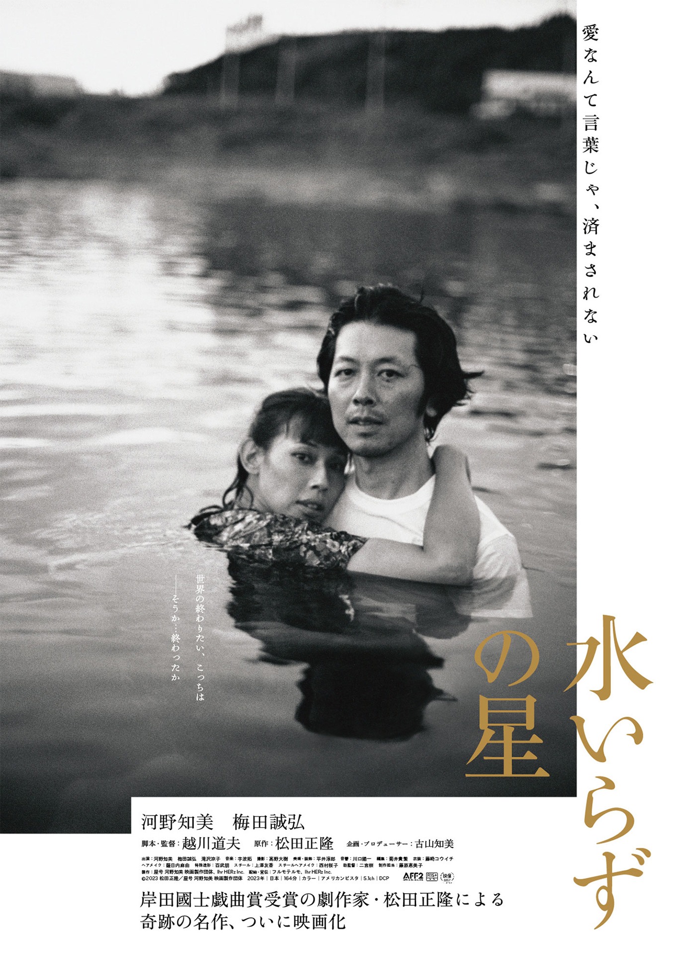 「水いらずの星」ポスタービジュアル