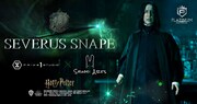 「ハリー・ポッター セブルス・スネイプ」ビジュアル