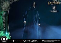 「ハリー・ポッター セブルス・スネイプ」