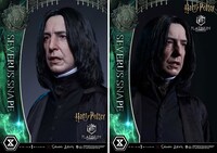 「ハリー・ポッター セブルス・スネイプ」