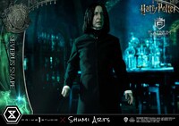 「ハリー・ポッター セブルス・スネイプ」