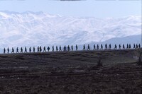 「鉛筆と銃 長倉洋海の眸」新場面写真