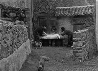 「豚」場面写真