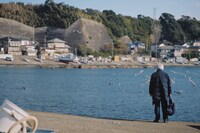 「きのう生まれたわけじゃない」場面写真