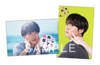 先着購入特典となる、ポストカードのビジュアル。