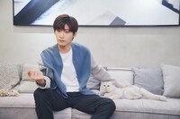 中国ドラマ「ネコの手も借りたい恋」場面写真