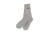 SPORTS SOCKS（グレー）（税別2740円）