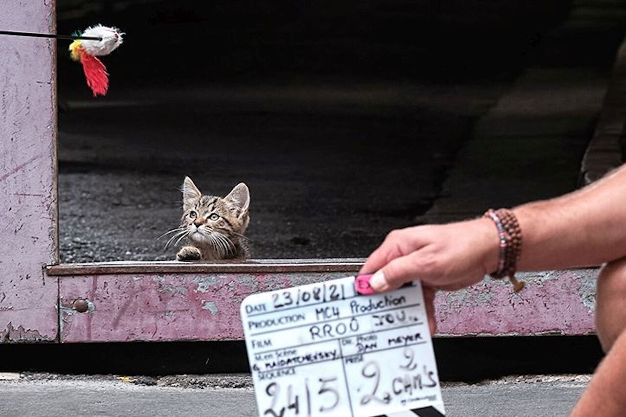 「ルー、パリで生まれた猫」メイキング写真