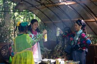 「愚鈍の微笑み」場面写真