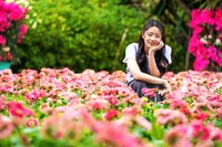 中国ドラマ「夏花」場面写真