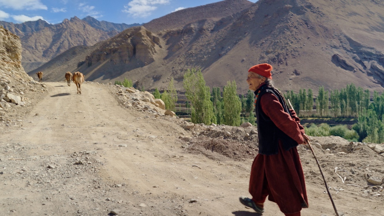 「JULLAY群青のラダック」場面写真