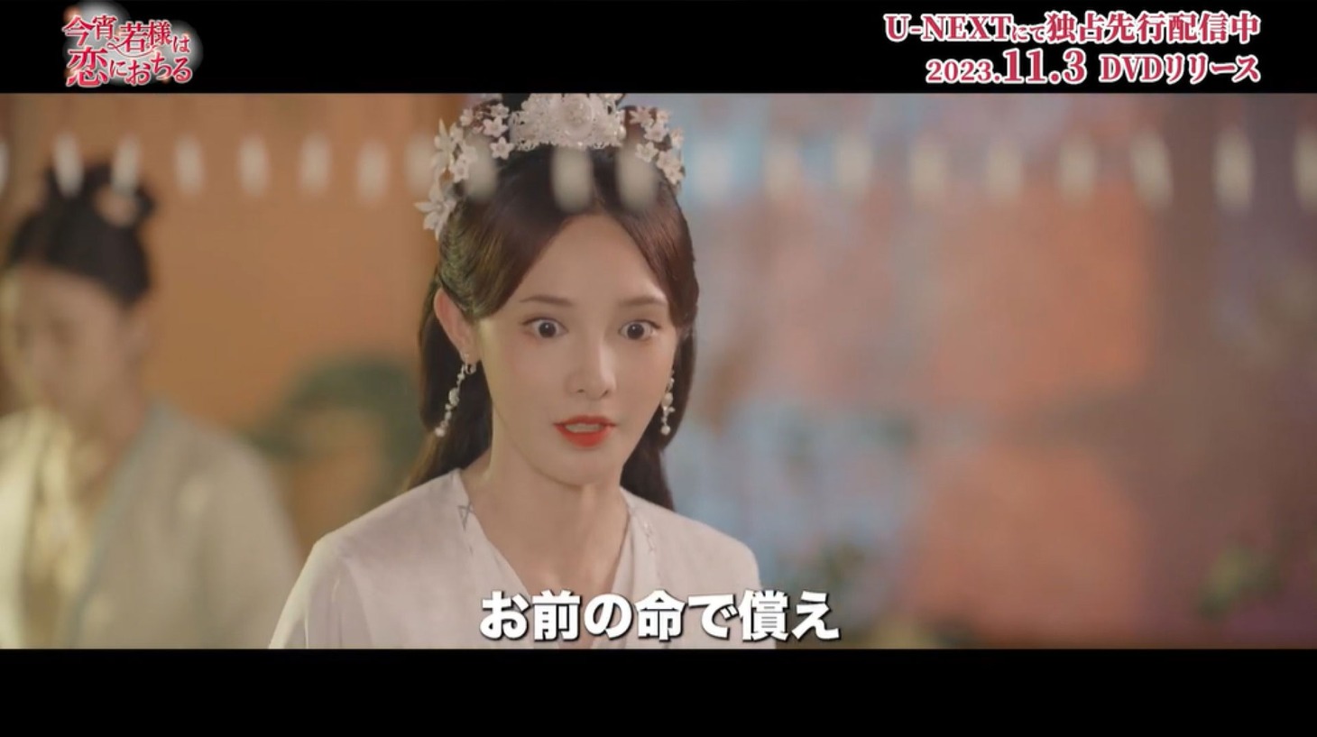 中国ドラマ「今宵、若様は恋におちる」スペシャルPVより。
