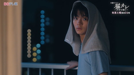 「猫カレ -少年を飼う-」場面写真