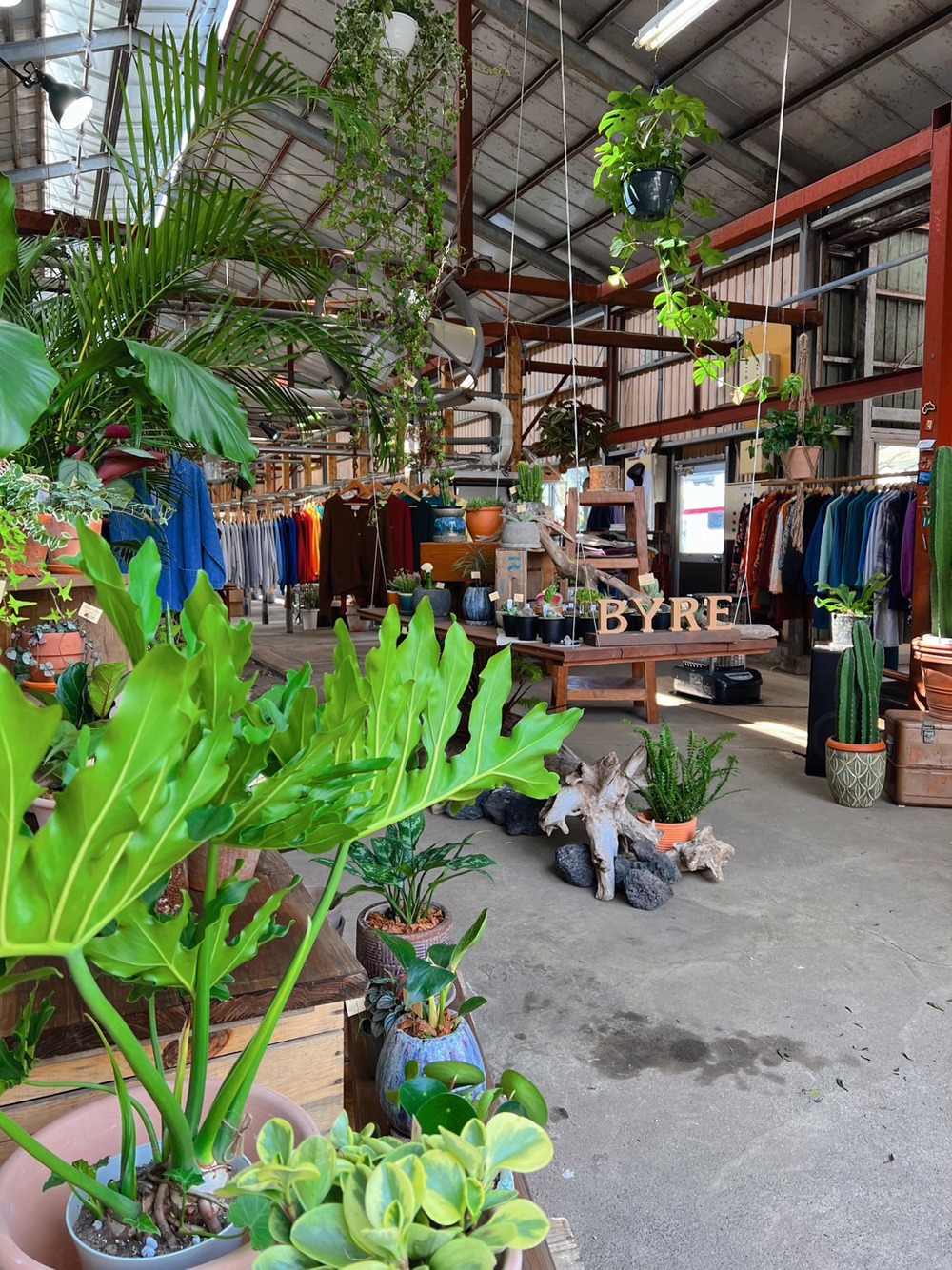 出店を予定している花と多肉植物ショップ・花屋BYREのイメージ。