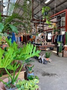 出店を予定している花と多肉植物ショップ・花屋BYREのイメージ。