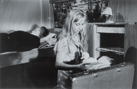 「白い花びら」場面写真 (c)Sputnik OY