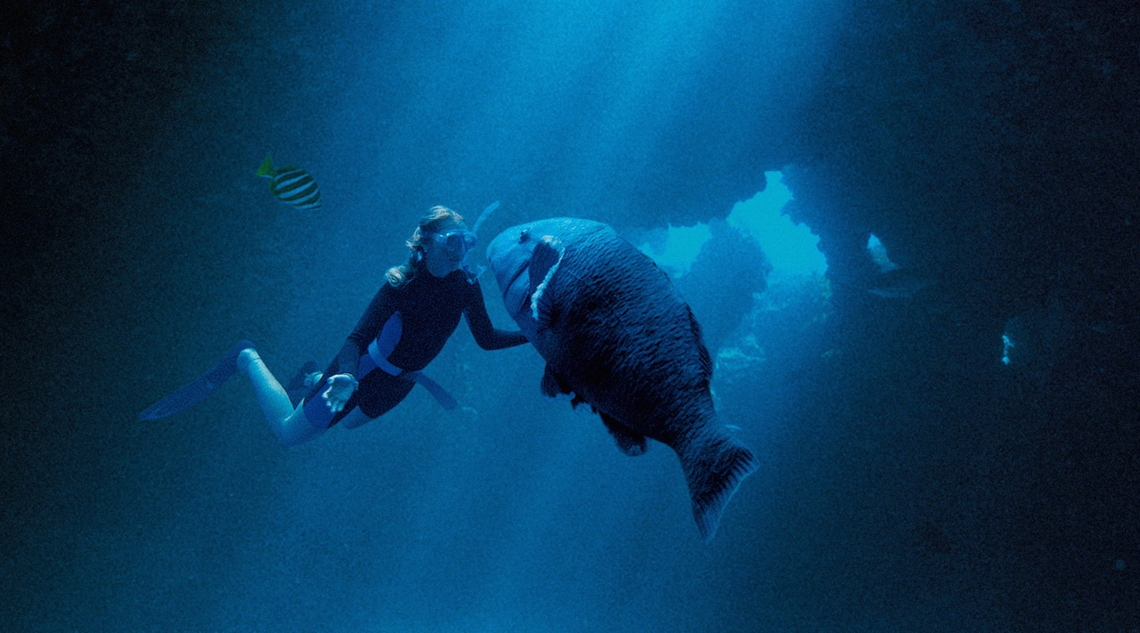 巨大な青い魚と過ごした少女時代を懐古「ブルーバック あの海を見ていた」予告到着