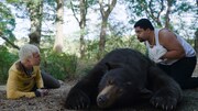コカインを丸呑みしたクマがギャングににじり寄る「コカイン・ベア」本編映像