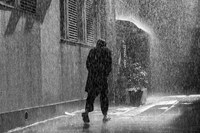 「花腐し」新場面写真