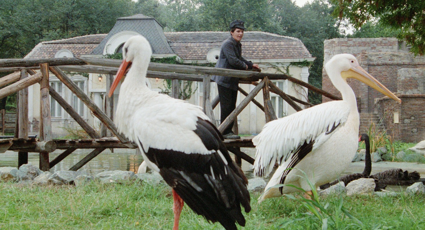 「アンダーグラウンド」場面写真 (c)1995 Ciby 2000-TF1 STUDIO