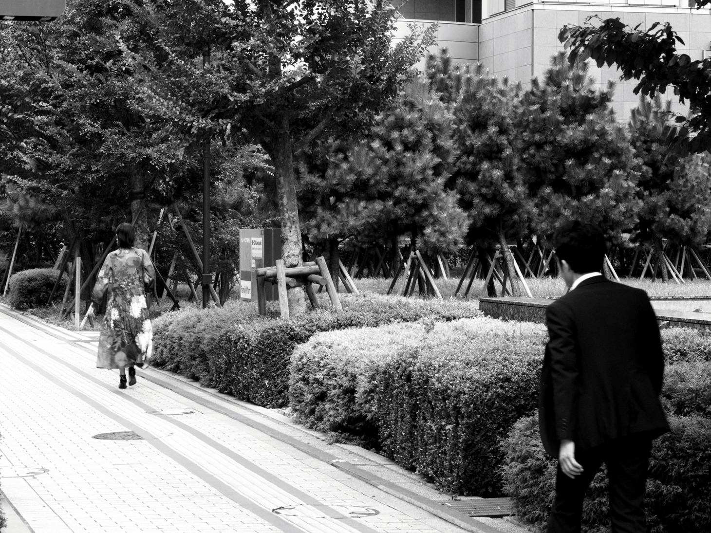 「ホゾを咬む」場面写真