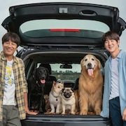 男2人が犬の里親探しに奮闘、ユ・ヨンソク×チャ・テヒョン共演作公開