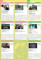 東京ドキュメンタリー映画祭2023のチラシより。