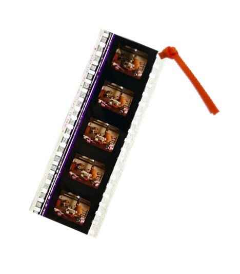 来場者特典の「こま撮りえいが こまねこ」生フィルムしおり。