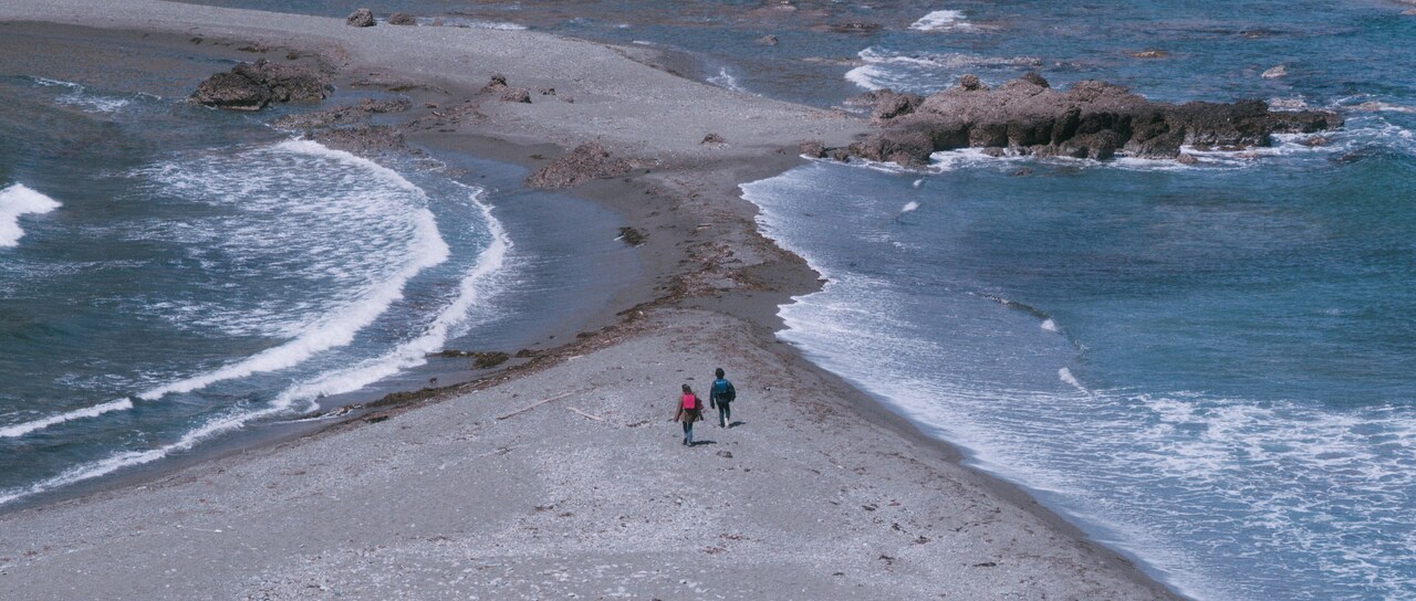 内田裕也と内田也哉子が初共演、佐渡島で撮影した映画公開　併映に岸井ゆきの主演短編