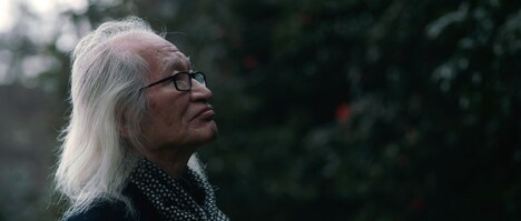 「ブルー・ウインド・ブローズ」場面写真