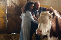 「ショータイム！」場面写真