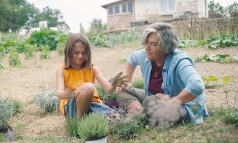 「ミツバチと私」新場面写真